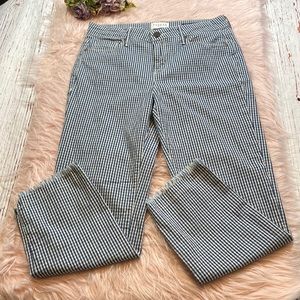 Parker Smith Straight Raw Hem Blue White Gingham Pants sz 8